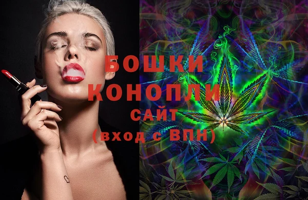 индика Аркадак