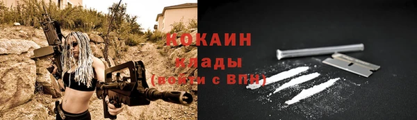 твердый Арсеньев