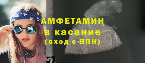 индика Аркадак