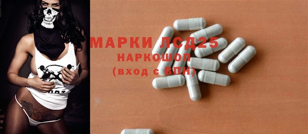 индика Аркадак