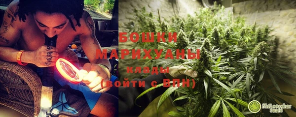 индика Аркадак