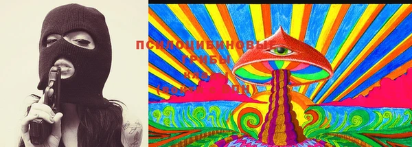 крисы Армянск