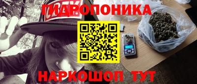 молекула духа Северобайкальск