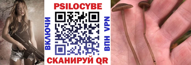 Галлюциногенные грибы MAGIC MUSHROOMS  Сибай 