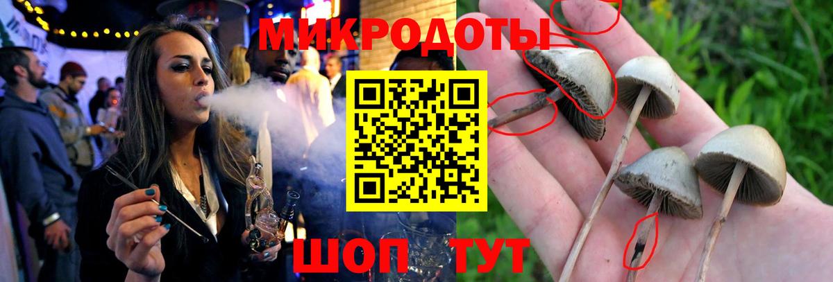 Псилоцибиновые грибы Magic Shrooms  где купить   Сибай  Вход с VPN 