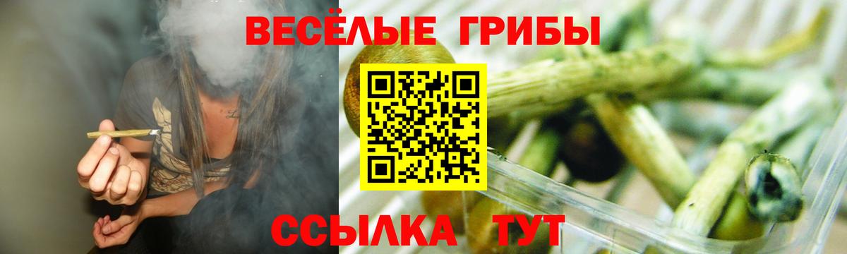 Псилоцибиновые грибы мицелий Сибай